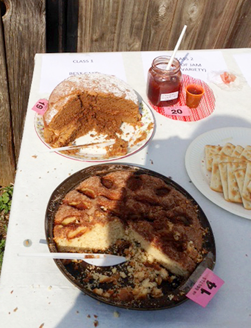 The winning coffee sponge got a bit hot in the sun and cream started to melt. The rhubarb and strawberry jam was also a winner. A taste sensation. The apple cake was made with apples from the allotment orchard.