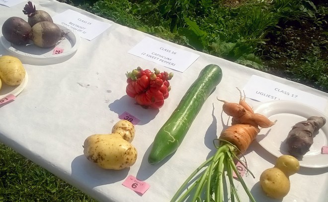 The mutant tomato was a clear winner in the Ugliest Vegetable category
