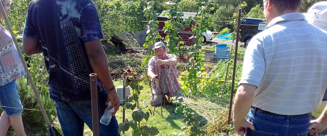 Step 1: Set up the ‘stakes’. Willow basket weaving demonstration. How to make a garden planter. The willows are grown on the Stockingstone site.
