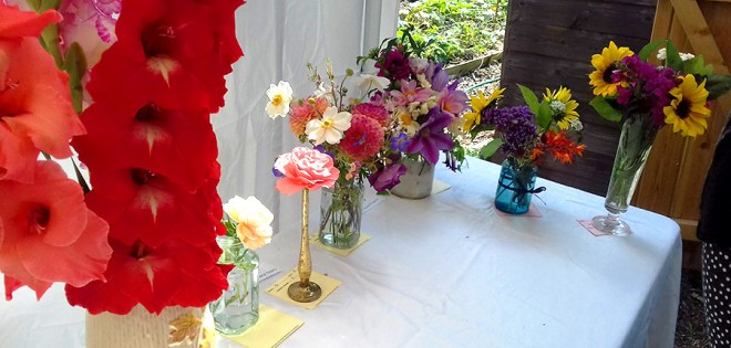 Cut flower category. Very colourful and fragrant.