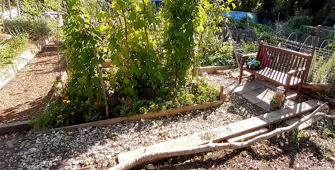 Ionel - First Runner Up - Plot Holder of the Year 2020