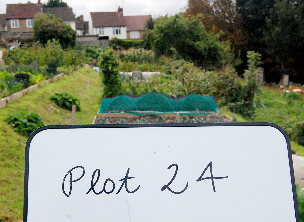 Nigel - Second Runner Up - Plot Holder of the Year 2020