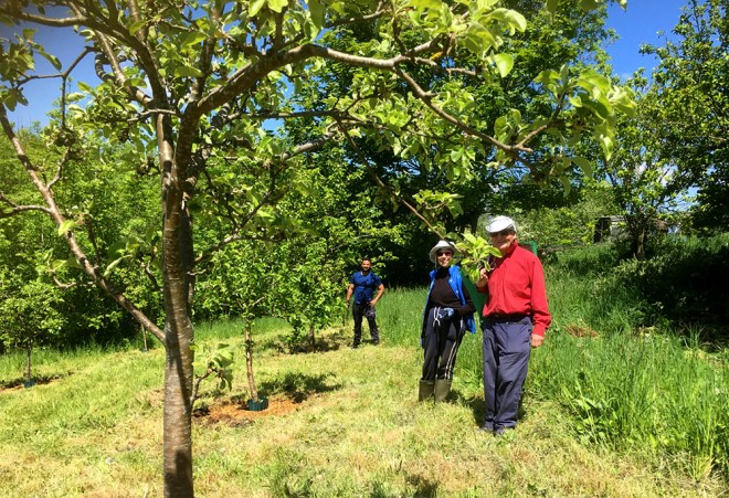 Enthusiastic group of volunteers getting ready to tackle the job.