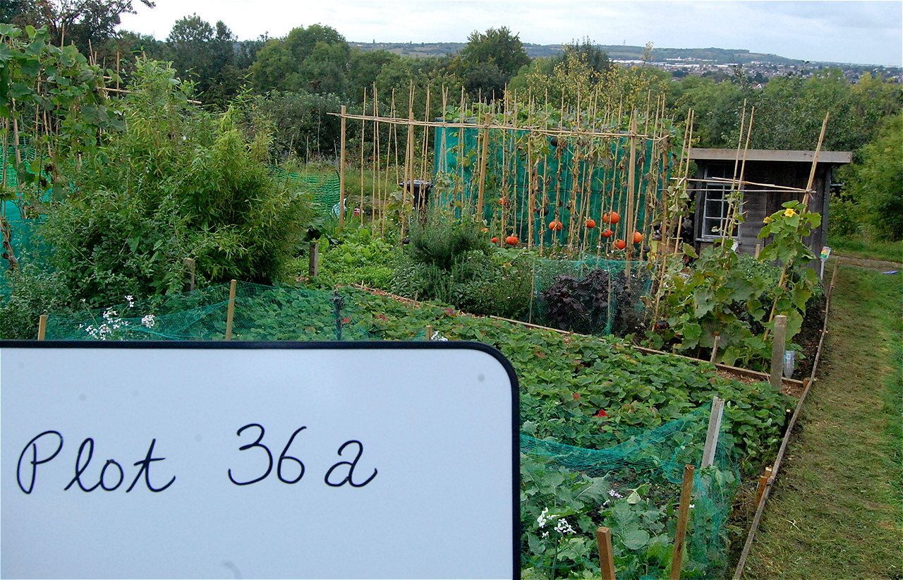 Peter and Joy - Winners - Plot Holder of the Year 2020