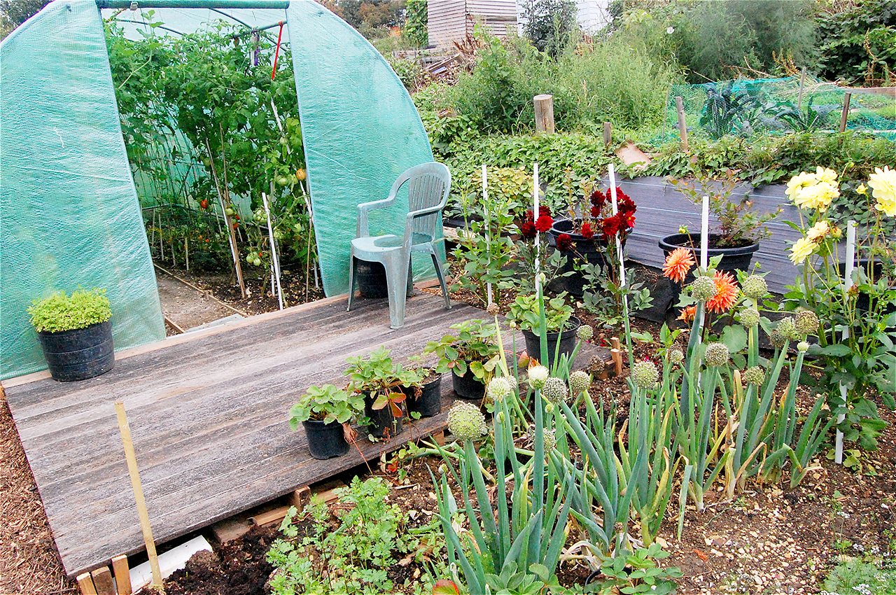 Peter and Joy - Winners - Plot Holder of the Year 2020