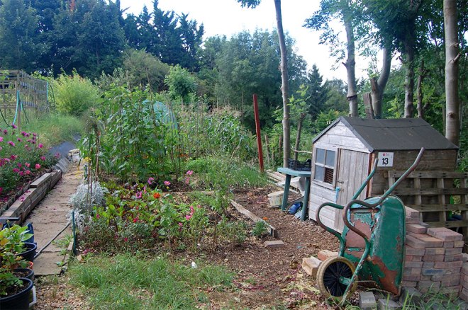 Plot 13 Second place