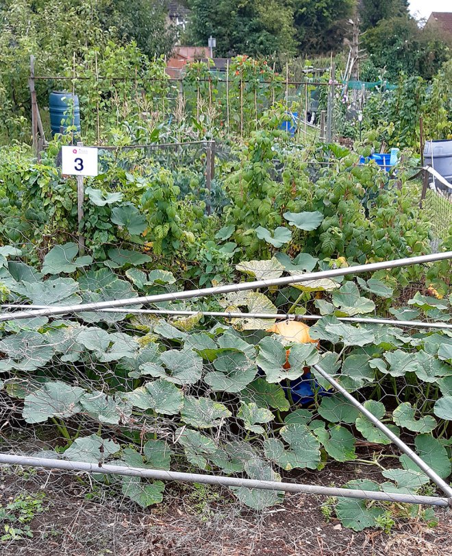 Plot 3 Special commendation