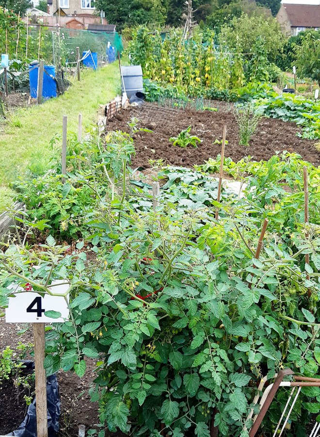 Plot 4 Special commendation