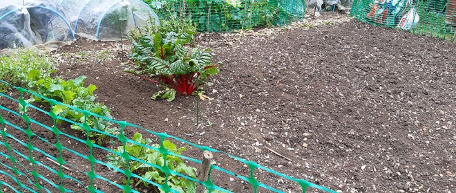 Plot 43A Special commendation