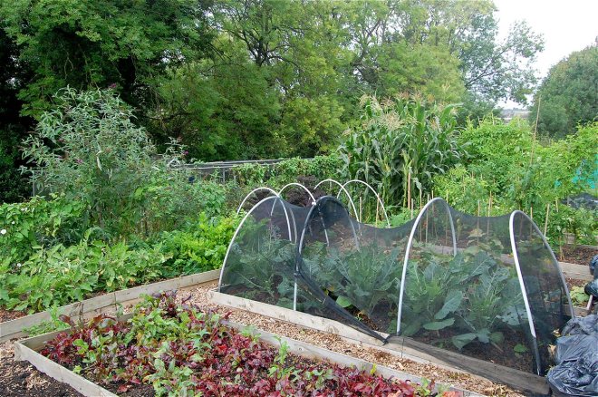 Majid - special commendation