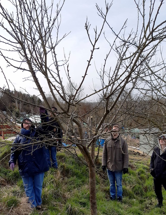 Trying to decide where to start. What was it Colin said?