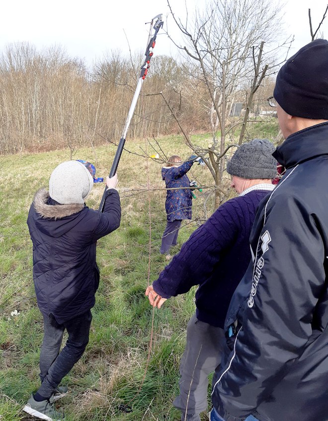 A fearless trainee having a go with the loppers.