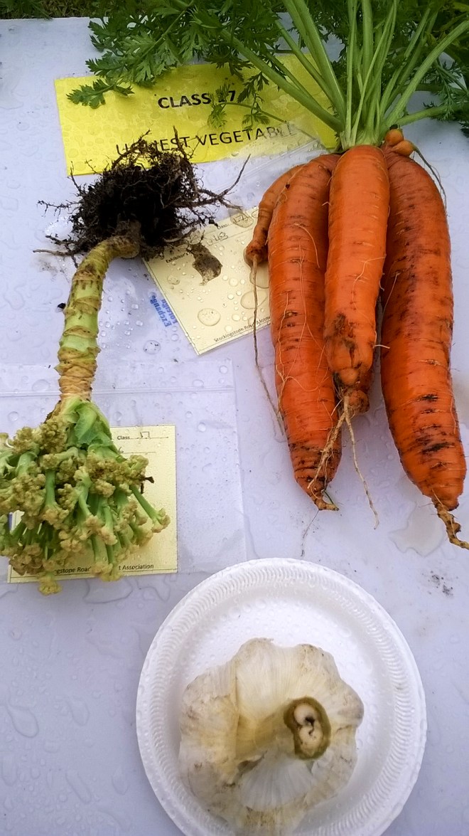 Ugliest Vegetable Category: The carrot(s) was a clear winner.