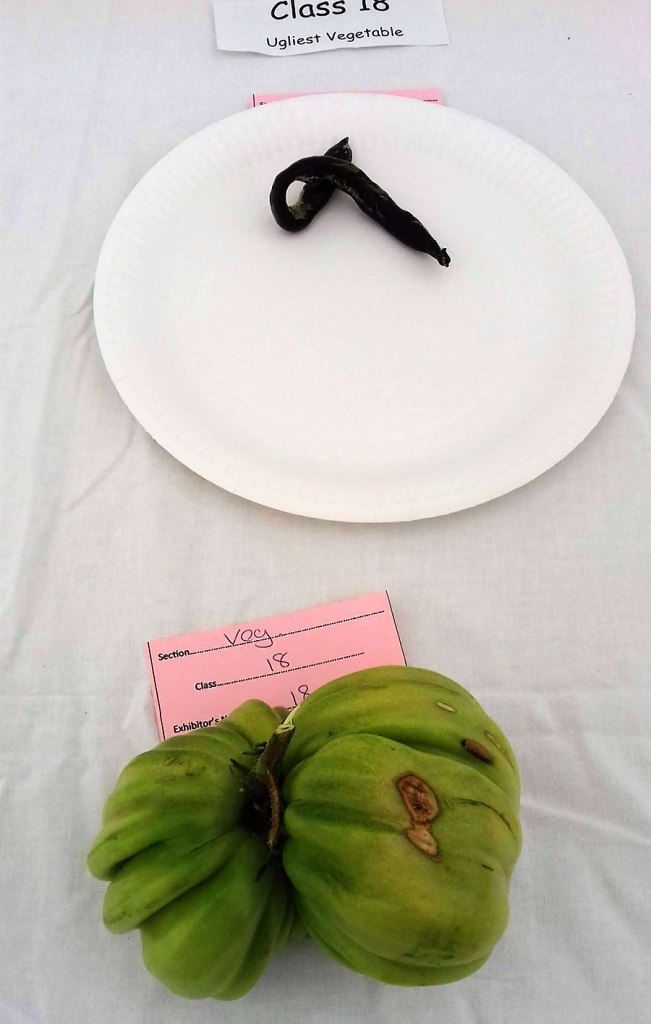 Ugliest vegetable category. A glum looking bean and a very interesting tomato. Tomatoes always do very well in this category.