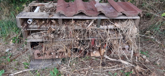 Bug hotel ready for tenants to move in