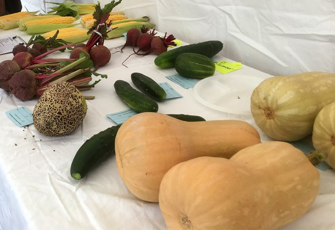 Butternut squash and cucumbers