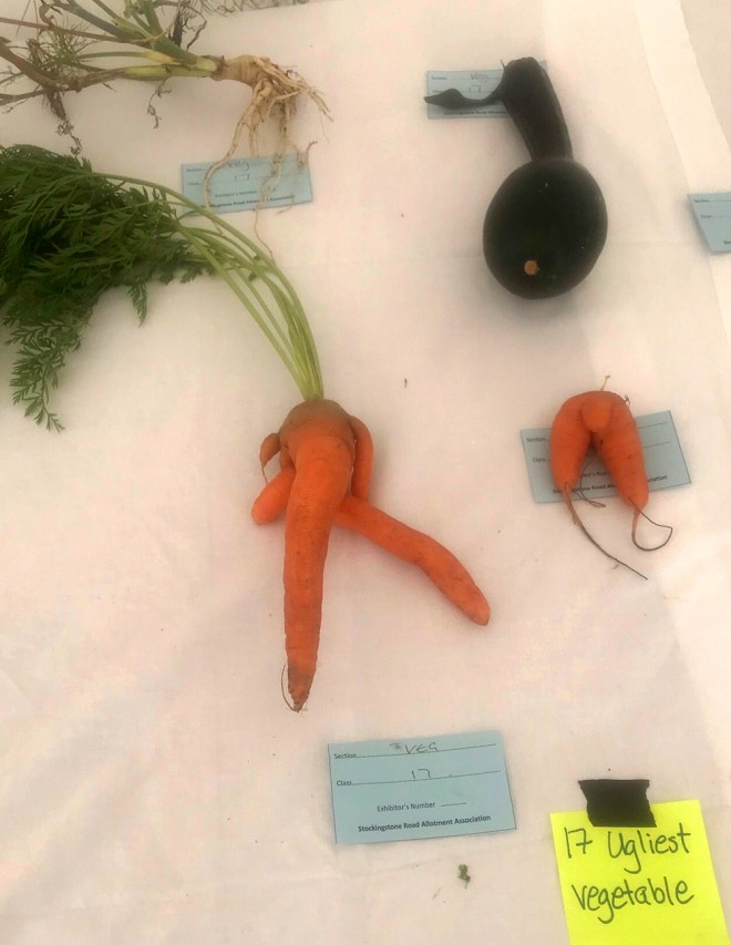 Ugliest vegetable