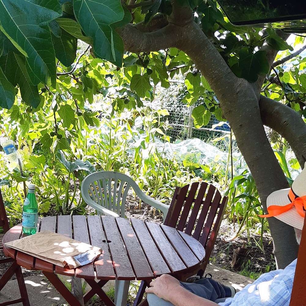 peter sitting in abdul's cafe 2023