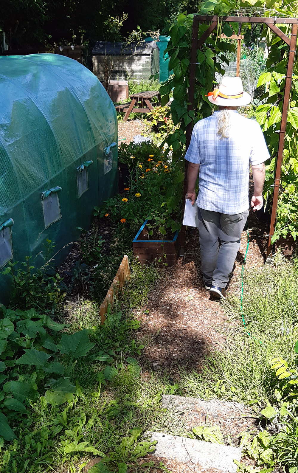 peter walking through pergola
