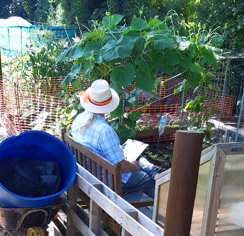 bench on irfan's plot