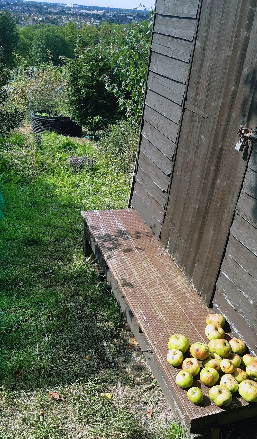 shed veranda with apples