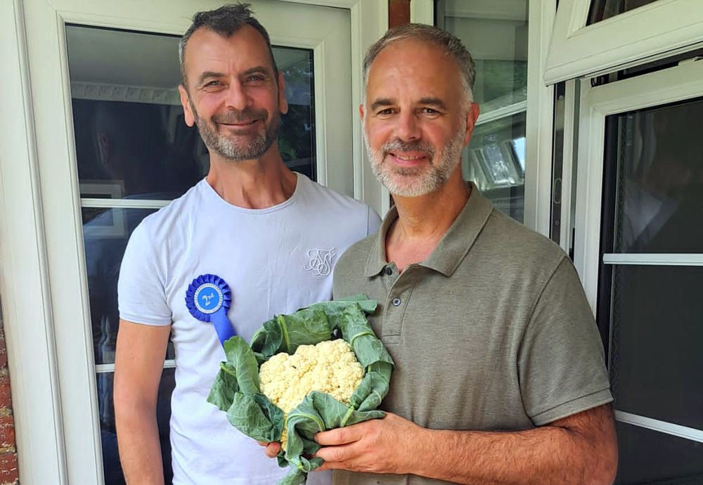 Cauliflower with its life support staff