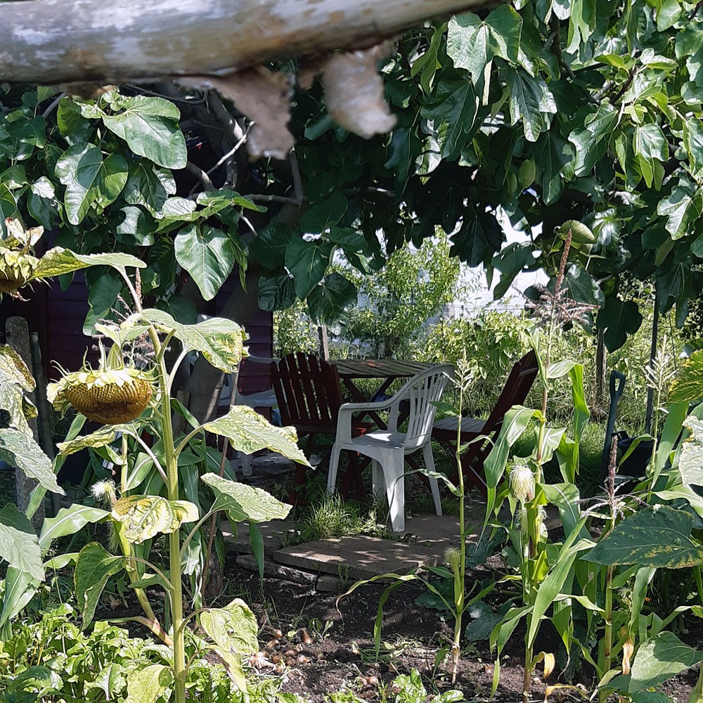 Abdul's cafe hidden in the greenery